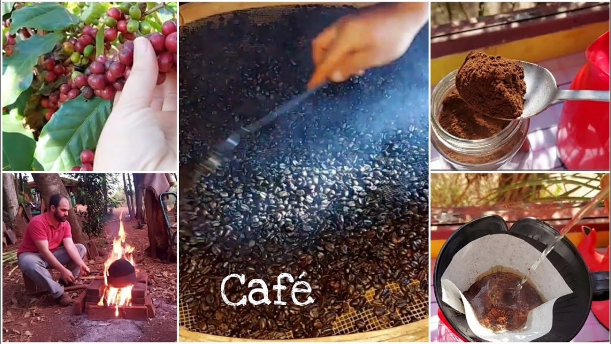 COMO É FEITO O CAFÉ ☕ARTESANAL LÁ NA ROÇA|  Beneficiamento Limpeza Torra e Moagem do grão